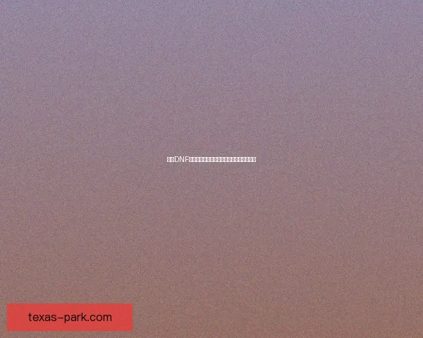 探索DNF古老装备合成器的隐藏机制与优化策略解析