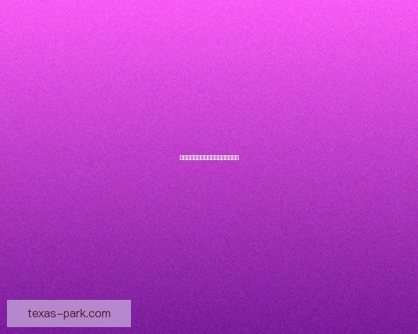 柔道家武器的历史演变与技艺传承探究