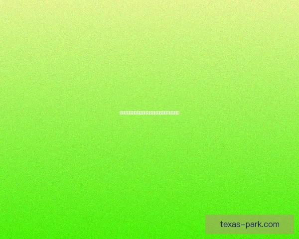 苹果笔记本使用体验评测：性能、便捷性与性价比分析