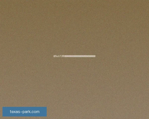 以Sun138为核心探索数字化转型如何推动企业创新与未来发展趋势